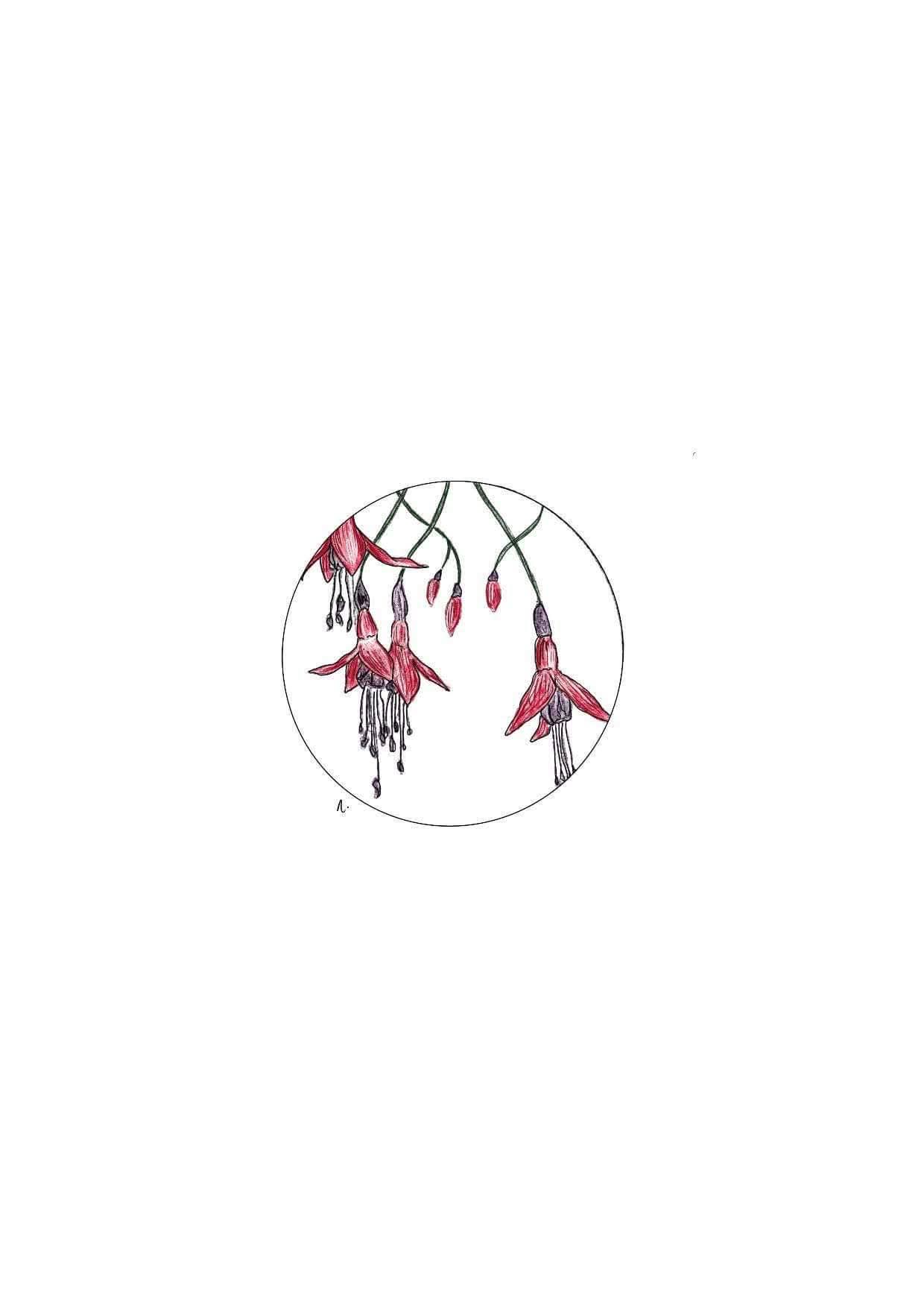 Greetings Cards - Fuchsia Floral