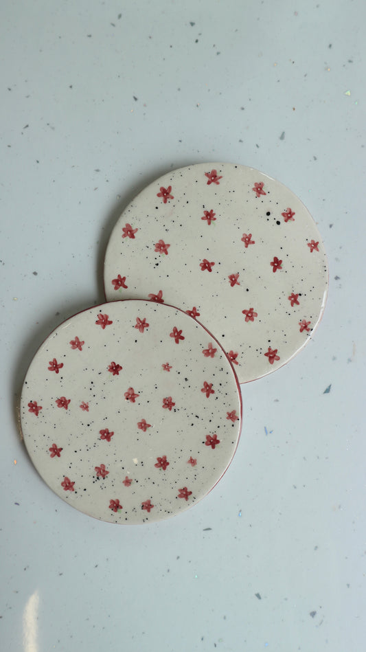 Hand Painted Ceramic Coasters