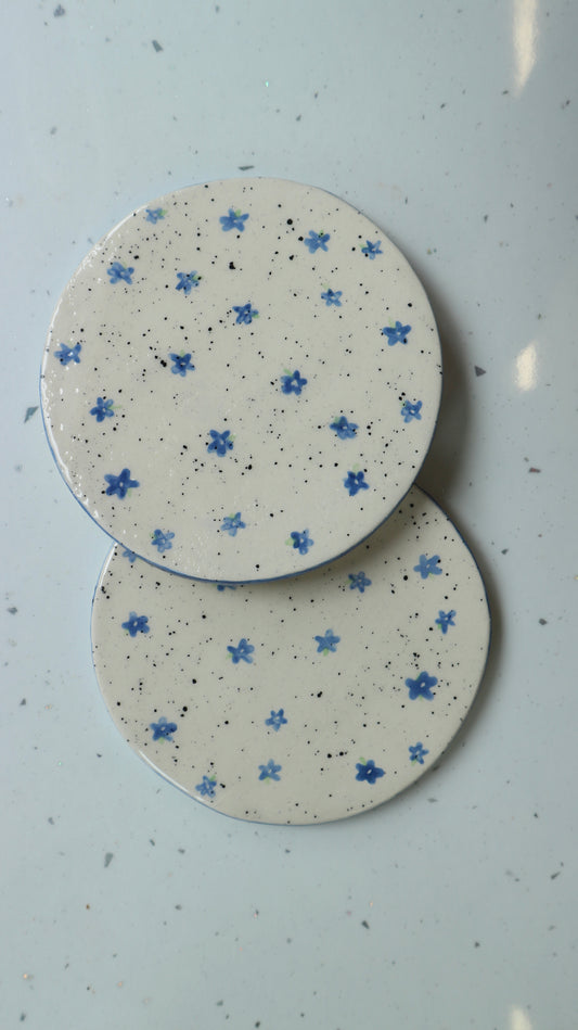 Hand Painted Ceramic Coasters
