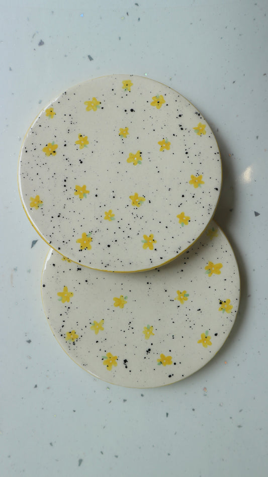 Hand Painted Ceramic Coasters